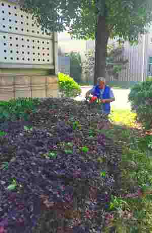 物業/開發商綠地養護